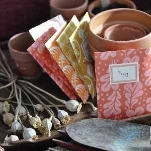 A Packet of Eight Seed Envelopes in Quercus Pomegranate with Matching Labels