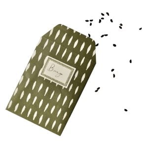 A Packet of Eight Seed Envelopes in Seed Olive with Matching Labels