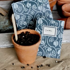 A Packet of Eight Seed Envelopes in Small Ivy Stripe Blackthorn with Matching Labels