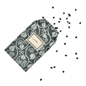 A Packet of Eight Seed Envelopes in Small Ivy Stripe Blackthorn with Matching Labels