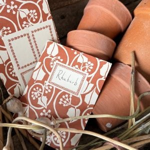 A Packet of Eight Seed Envelopes in Small Ivy Stripe Russet with Matching Labels