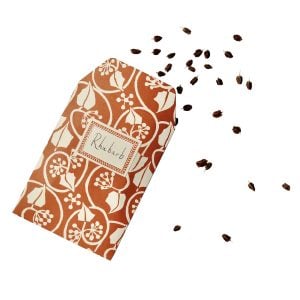 A Packet of Eight Seed Envelopes in Small Ivy Stripe Russet with Matching Labels