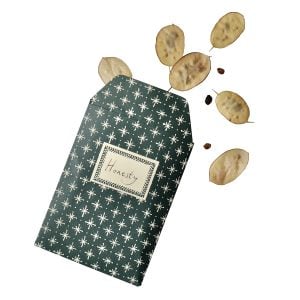 A Packet of Eight Seed Envelopes in Little Stars Petrol Blue with Matching Labels