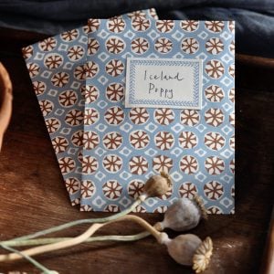 A Packet of Eight Seed Envelopes in Sea Urchin Sky and Cocoa with Matching Labels