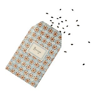 A Packet of Eight Seed Envelopes in Sea Urchin Sky and Cocoa with Matching Labels