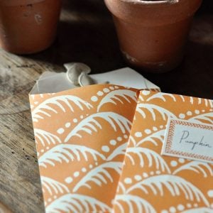 A Packet of Eight Seed Envelopes in Wave Blood Orange with Matching Labels