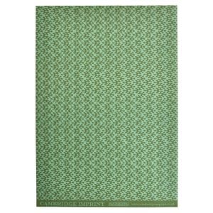Patterned Paper Kelp Sea Green